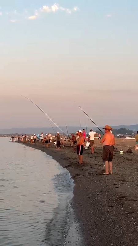 Karacabey sahillerinde istavrit bereketi