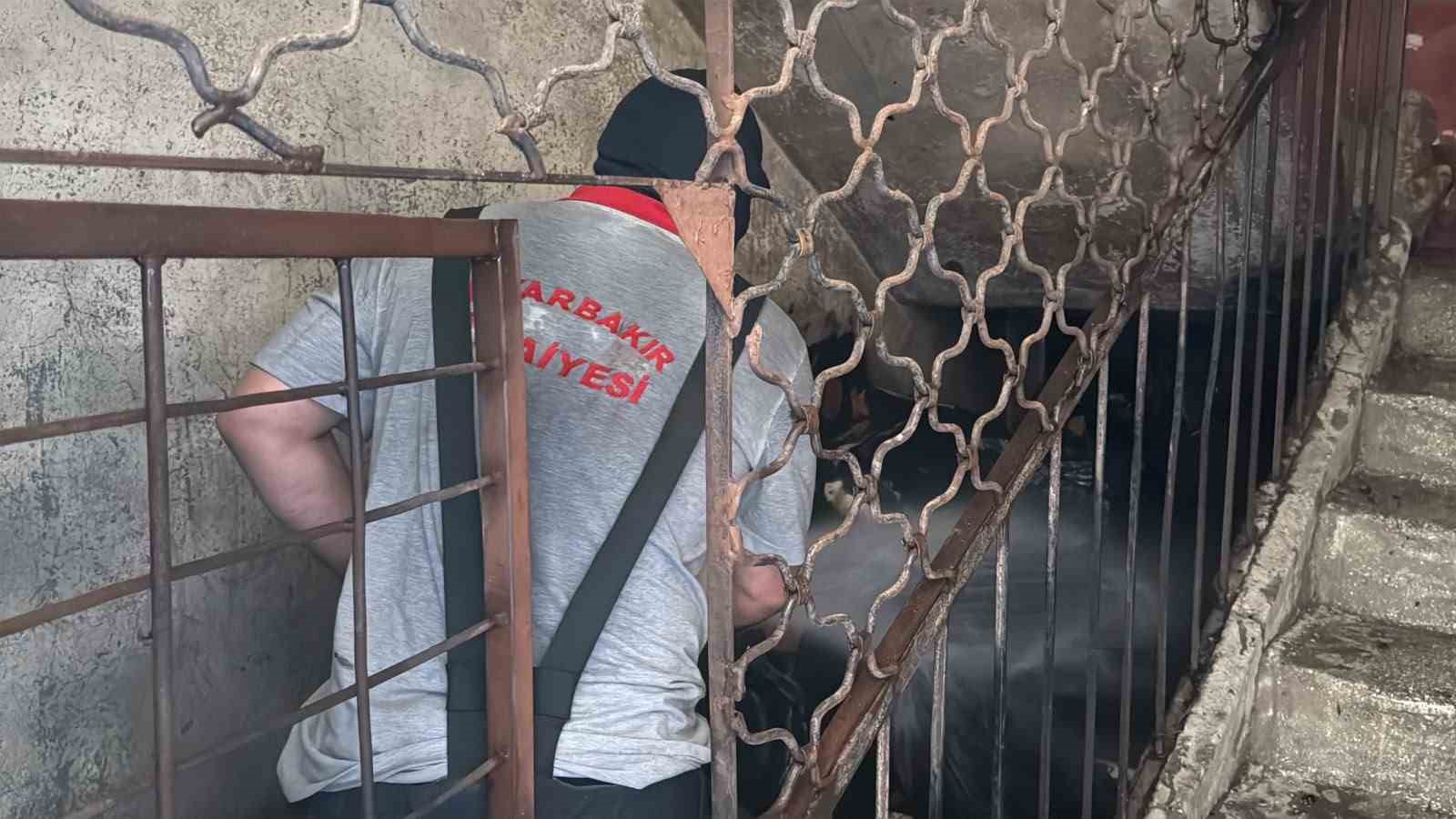 Bina girişindeki odunluk alev aldı