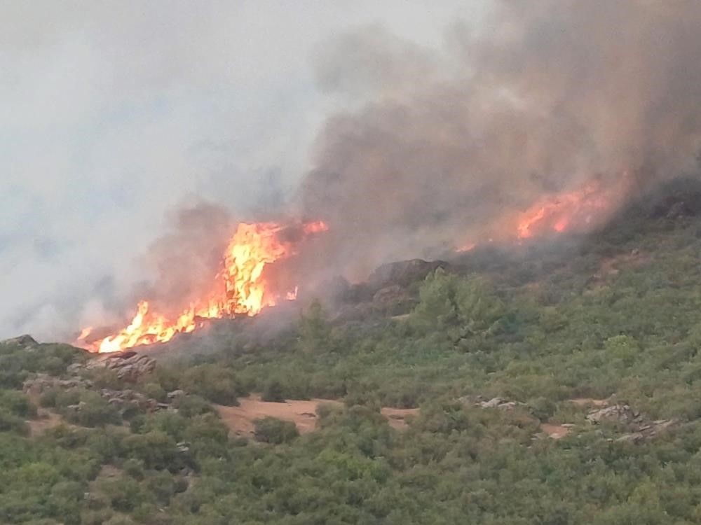 Kaymakam Güldoğan’dan vatandaşlara yangın uyarısı