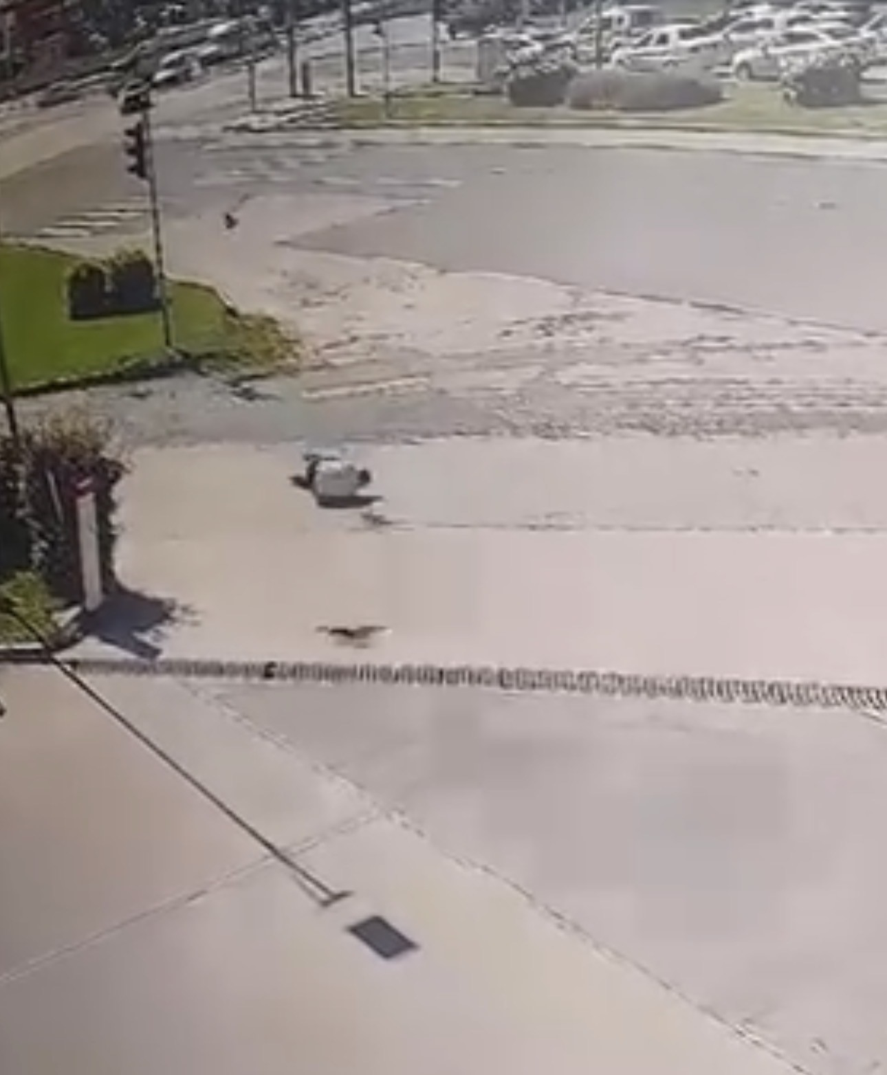 Kargadan kaçarken taklalar attı, o anlar kamerada