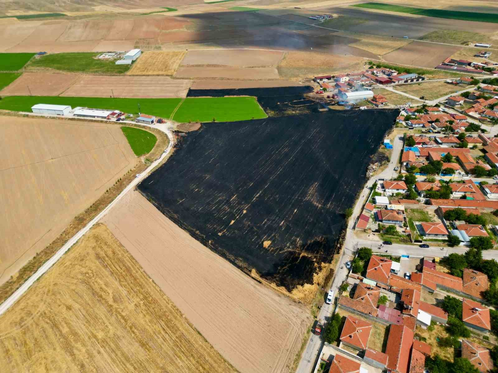 Tarım arazisini küle ceviren yangın