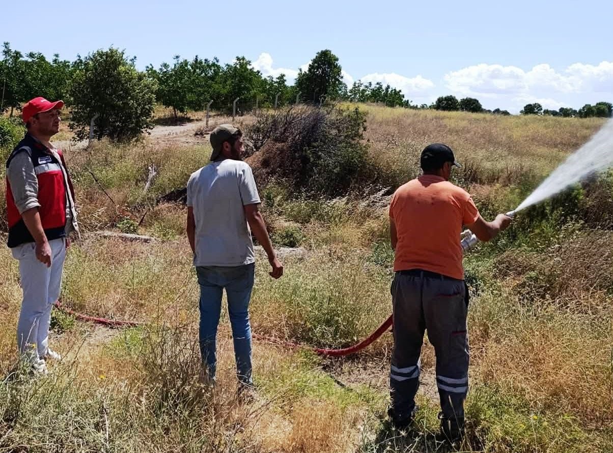 Gediz’de biçerdöverle hasat kontrolleri sürüyor
