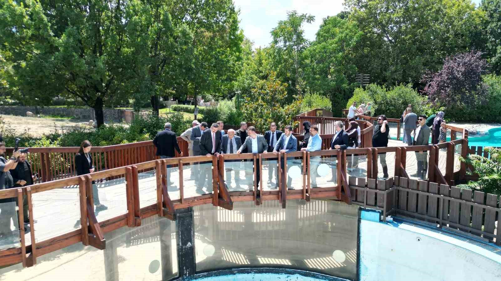 Başkan Vekili Biba’dan hayvanat bahçesi’ne ziyaret