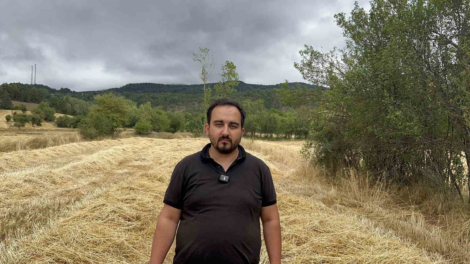 Buğdayın atası ‘siyez’de hasat dönemi başladı