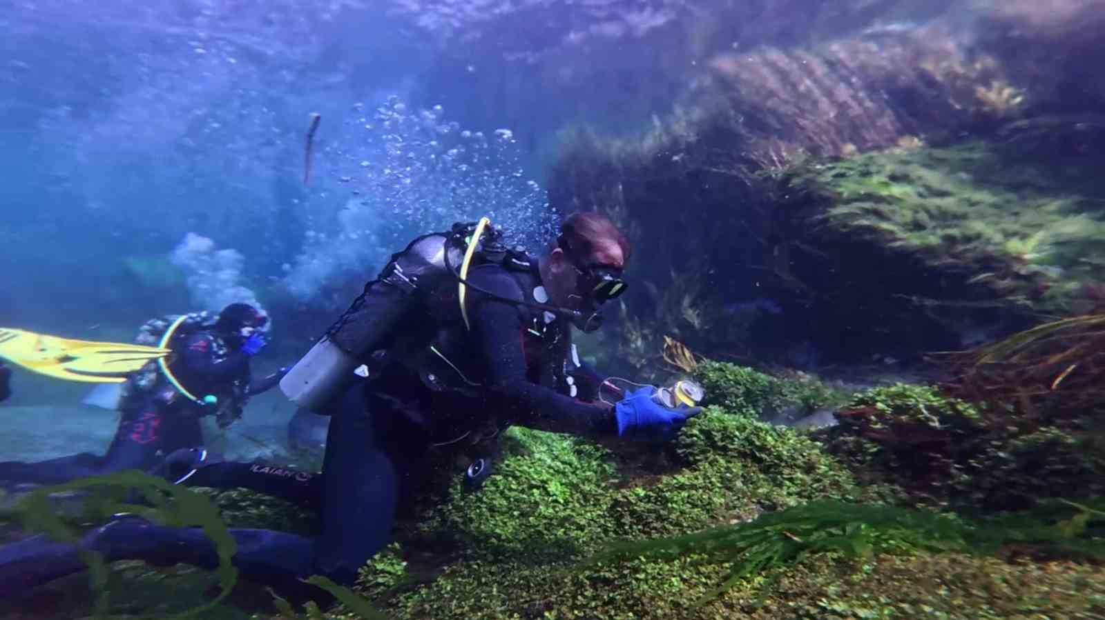 NASA’nın hayran kaldığı dünyaca ünlü Azmak’tan ne ararsan çıktı