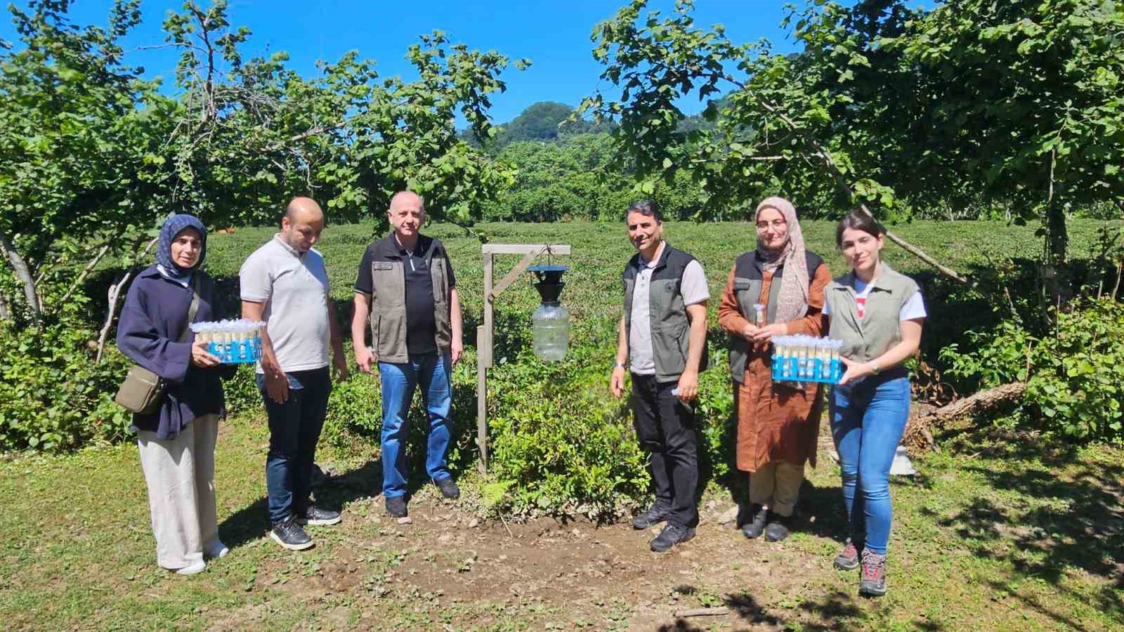 Kahverengi kokarca ile mücadelede 11 bin samuray arıcığı salındı