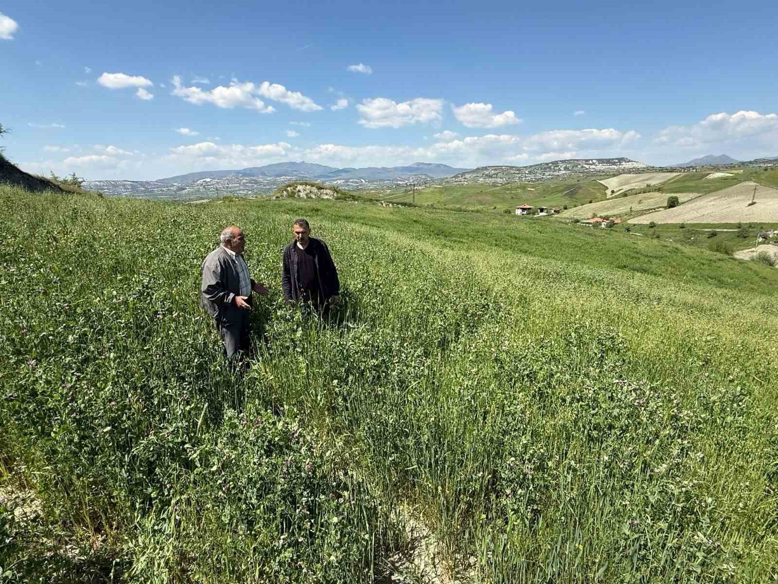 Manisa Büyükşehir’in toprakla buluşan tohumları yeşerdi