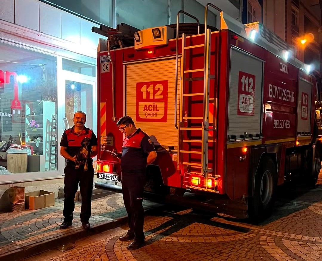 Depoya düşen köpek, itfaiye ekiplerince kurtarıldı