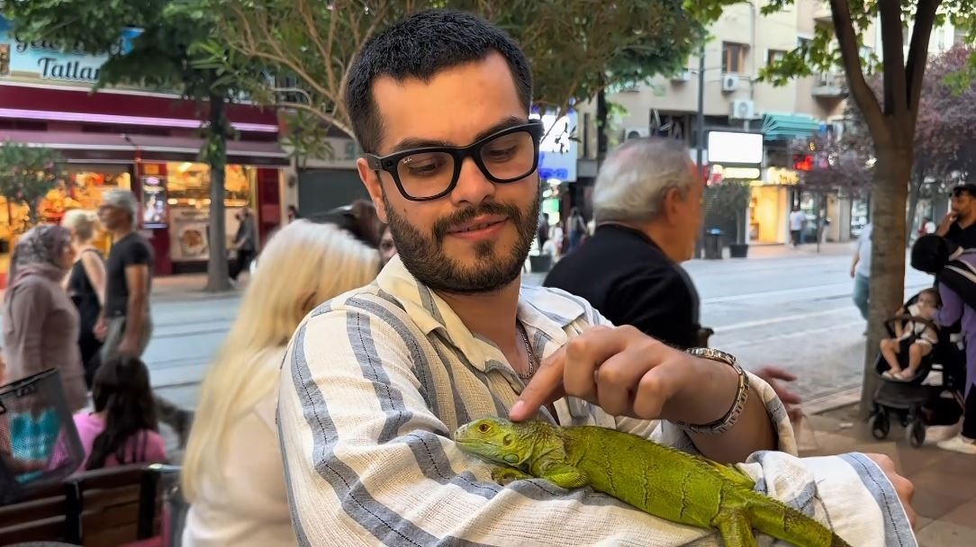 Sokakta iguana gören çocuklar yanına koştu