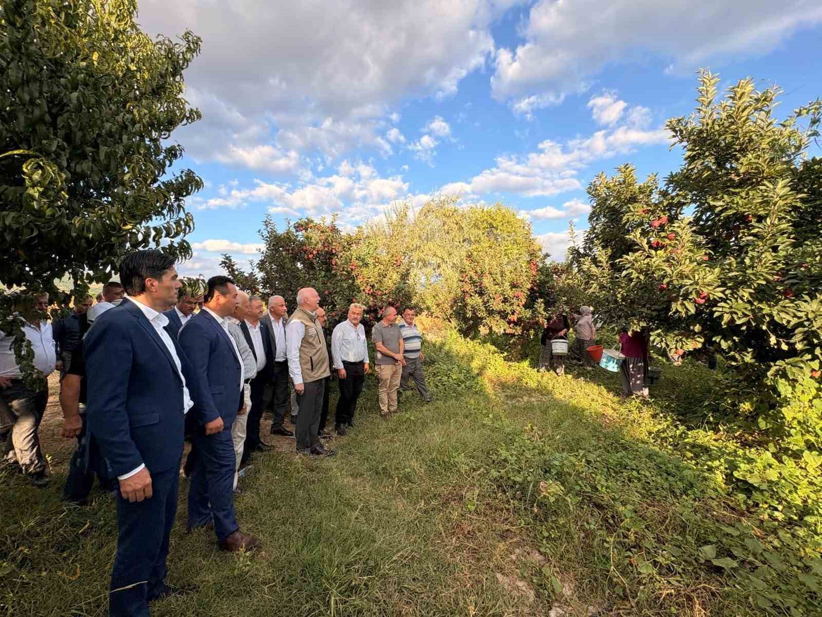 Şemsi Bayraktar, &Ccedil;ivril&rsquo;de elma hasadı yaptı