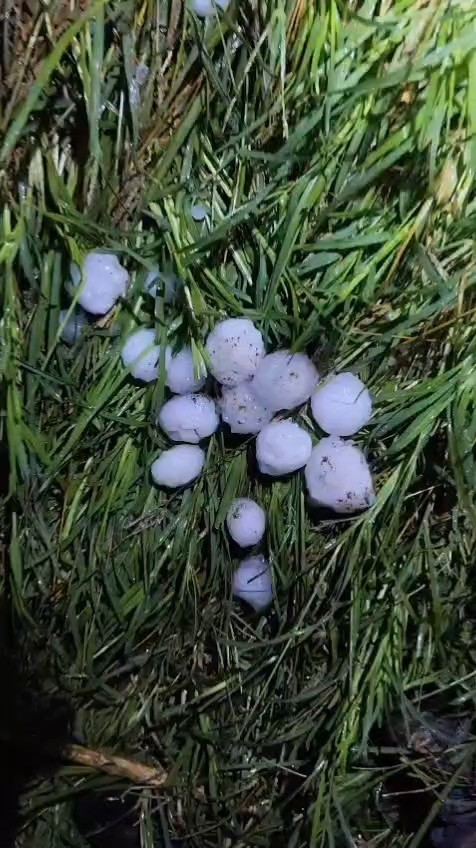 Adana’da yumruk büyüklüğünde dolu yağışı tarım arazilerine zarar verdi