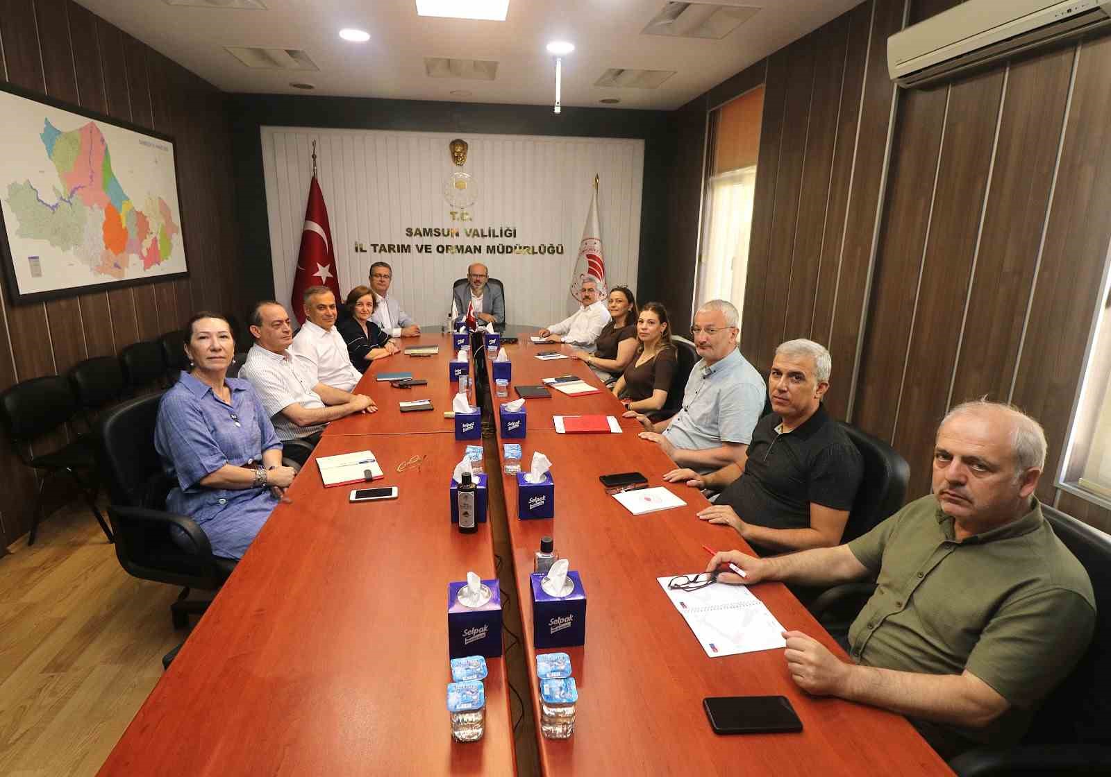 Samsun&rsquo;da tarımsal &uuml;retim &ccedil;alışmaları yerinde incelendi