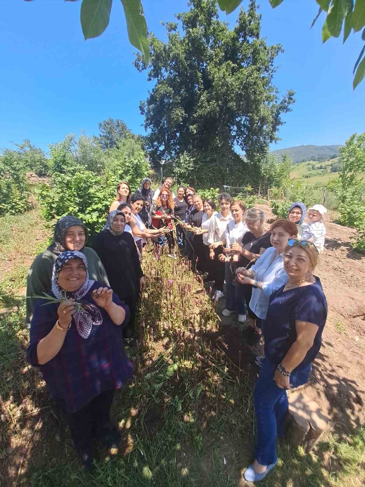 Kadın üreticilere 7 bin salep fidesi desteği