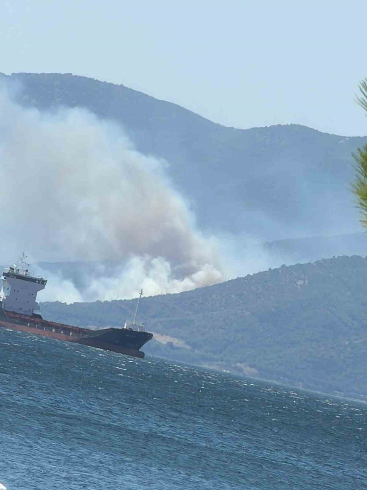 Armutlu Kapaklı hattında orman yangını: Ekipler müdahaleye başladı