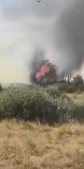 Kızılırmak Nehri çevresinde korkutan örtü yangını