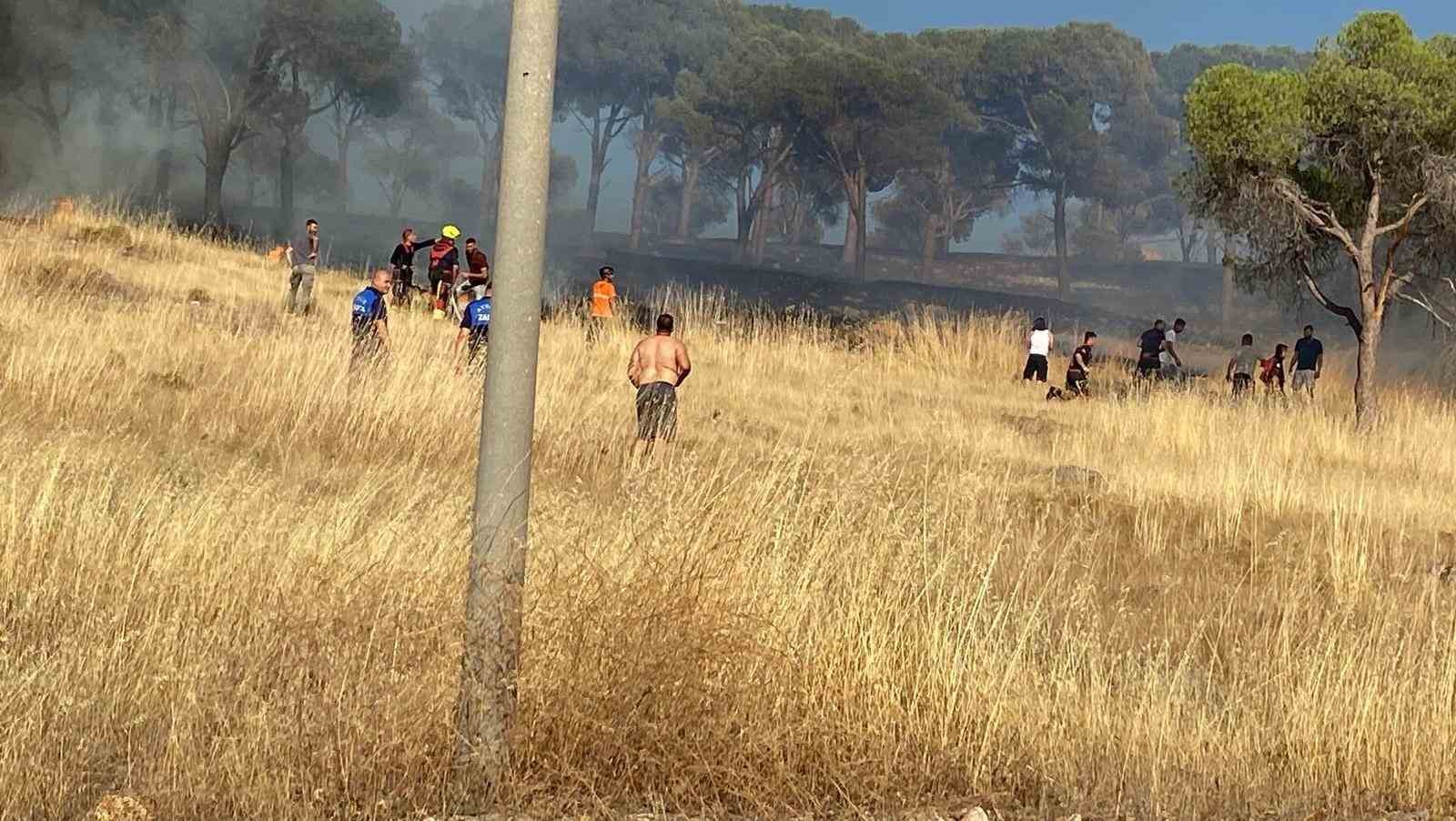 Balıkesir Ayvalık&rsquo;ta &ccedil;ıkan &ouml;rt&uuml; yangınına m&uuml;dahale ediliyor
