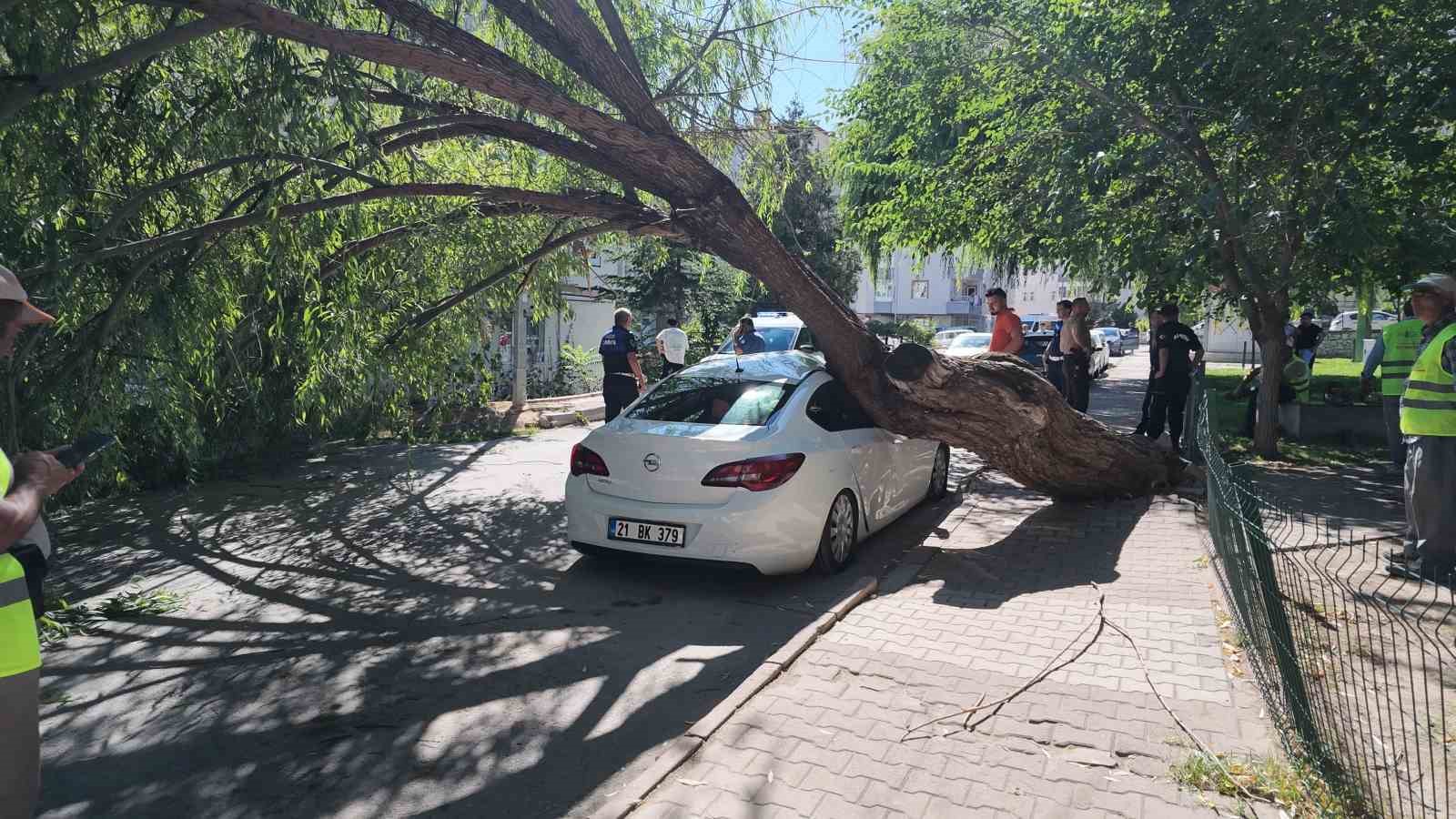 Niğde&rsquo;de park halindeki otomobilin &uuml;zerine ağa&ccedil; devrildi
