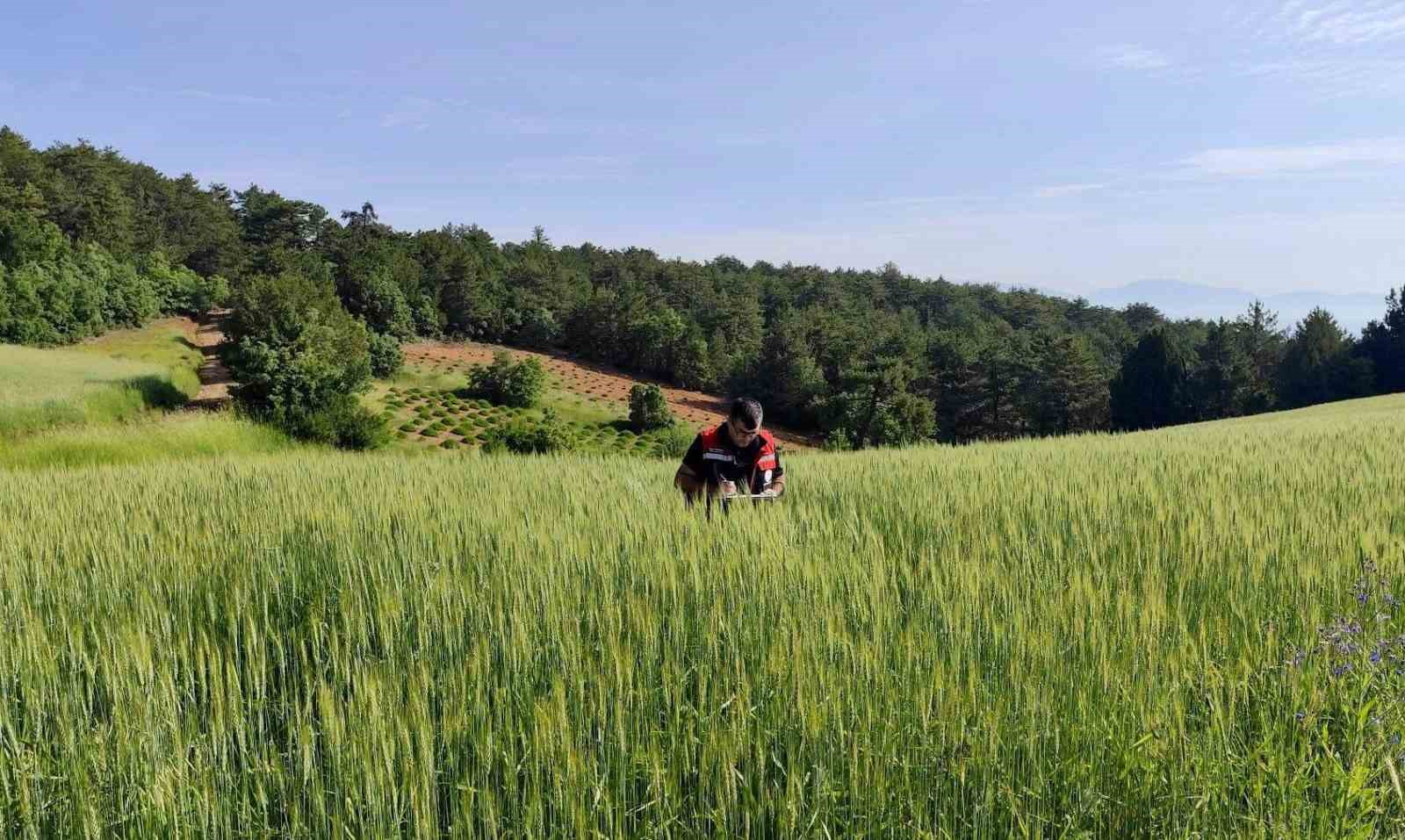 Tarımsal üretimin planlı şekilde yürütülmesi için çalışmalar sürüyor