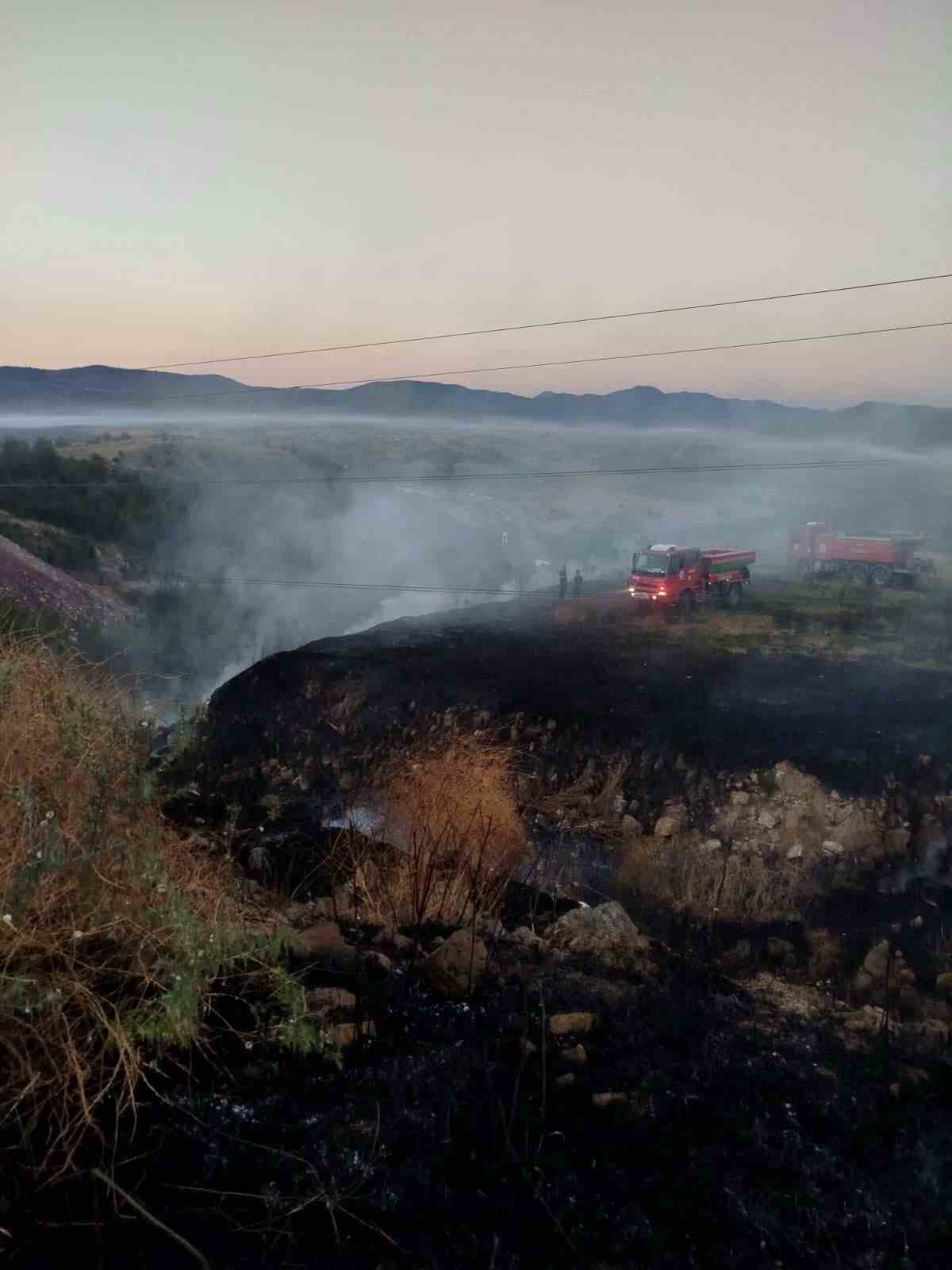 Bilecik’te otluk alanda çıkan yangın paniğe neden oldu