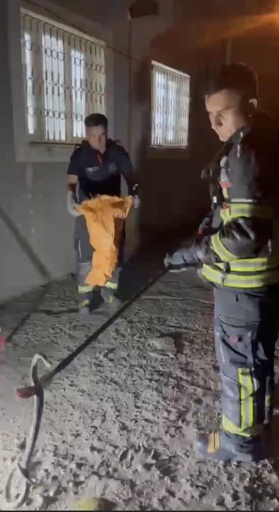 Evde görülen zehirli engerek itfaiye ekiplerince yakalandı