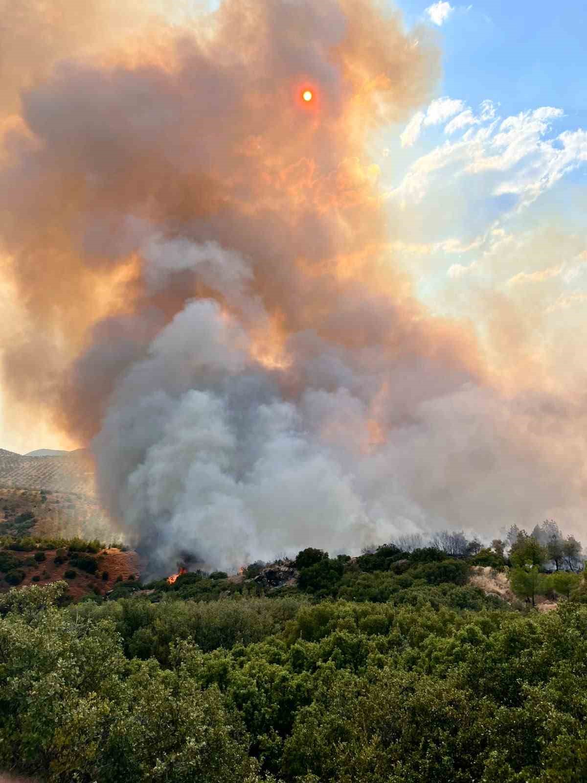Kula’da tarım arazisinde çıkan yangın ormana sıçradı