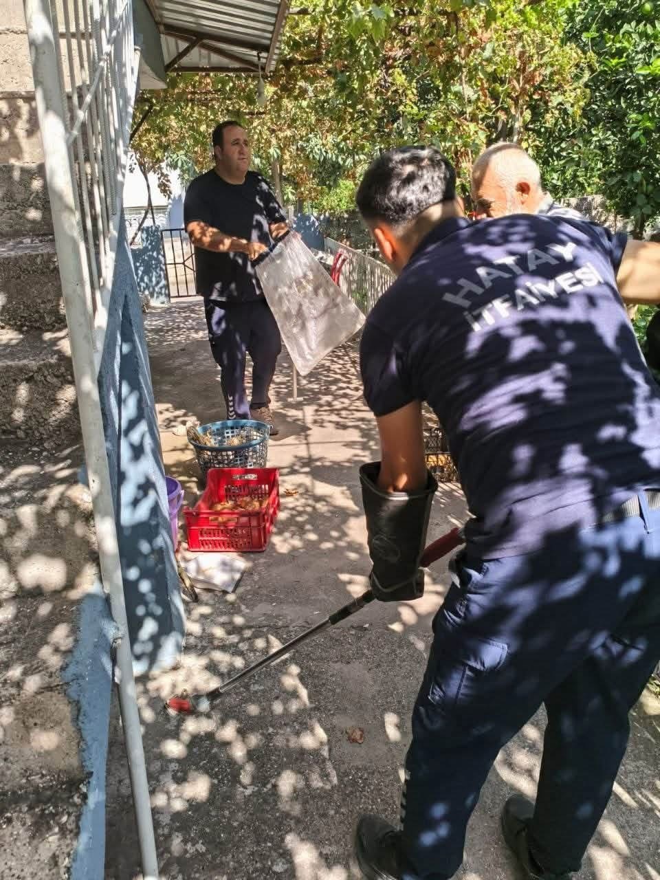 İskenderun&rsquo;da evin i&ccedil;erisinde g&ouml;r&uuml;len yılan yakalandı