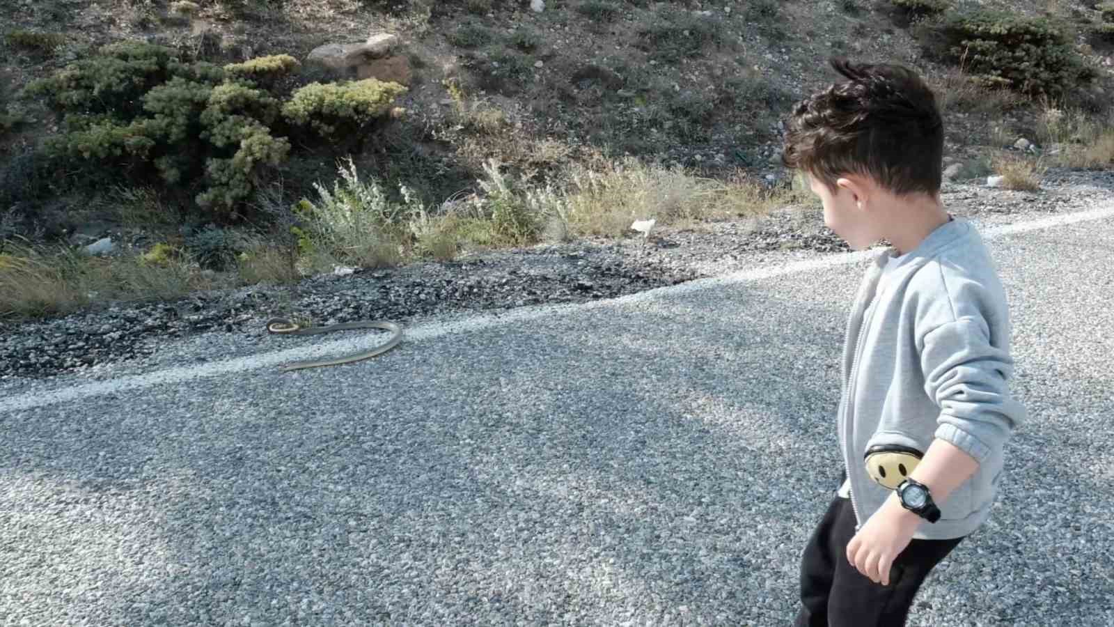 Erzincan’da minik çocuk ilk kez yılanla karşılaştı: Şaşkınlıkla baktı, cesaretle izledi