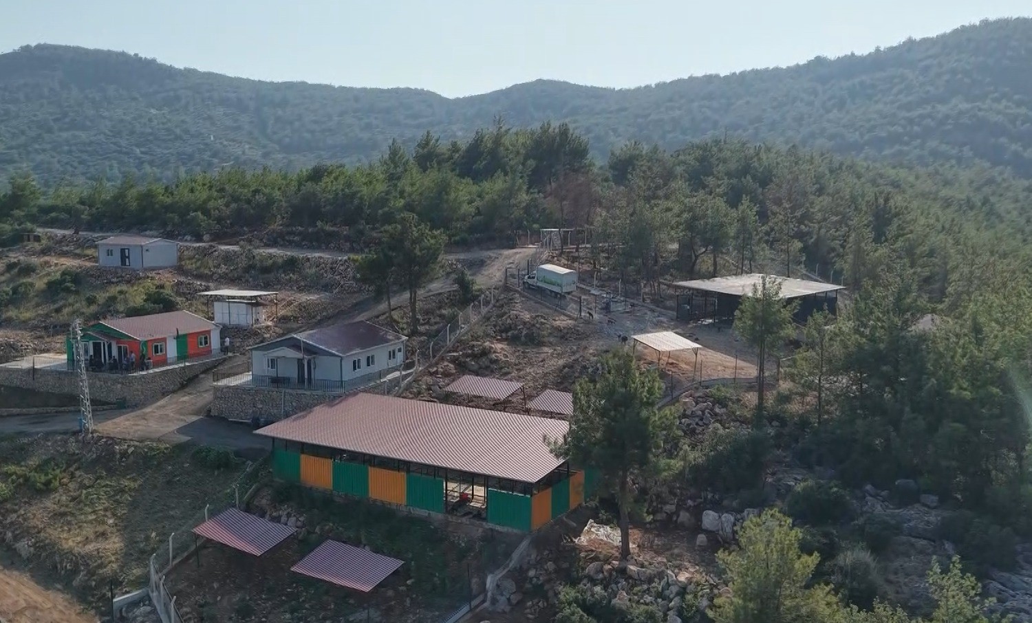 Kozan&rsquo;da hedef sıfır sahipsiz sokak hayvanı