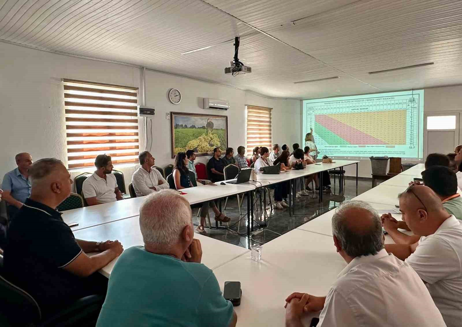 Hatay’da turunçgillerde doğru hasat uygulamaları anlatıldı