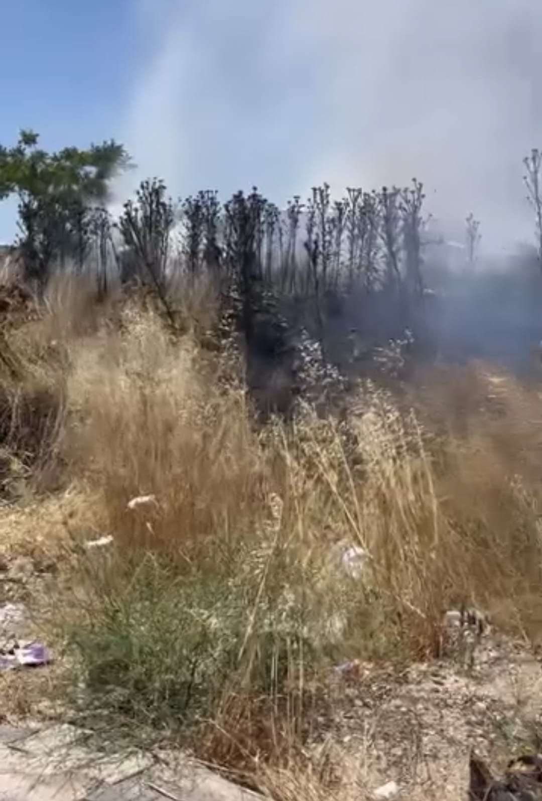 Susurluk&rsquo;ta pazar alanına yakın ot yangını