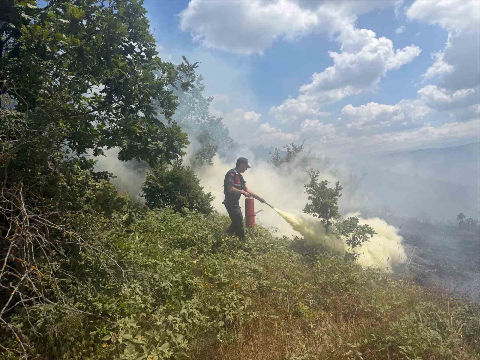 Bilecik’te 20 dönümlük alanda korkutan yangın