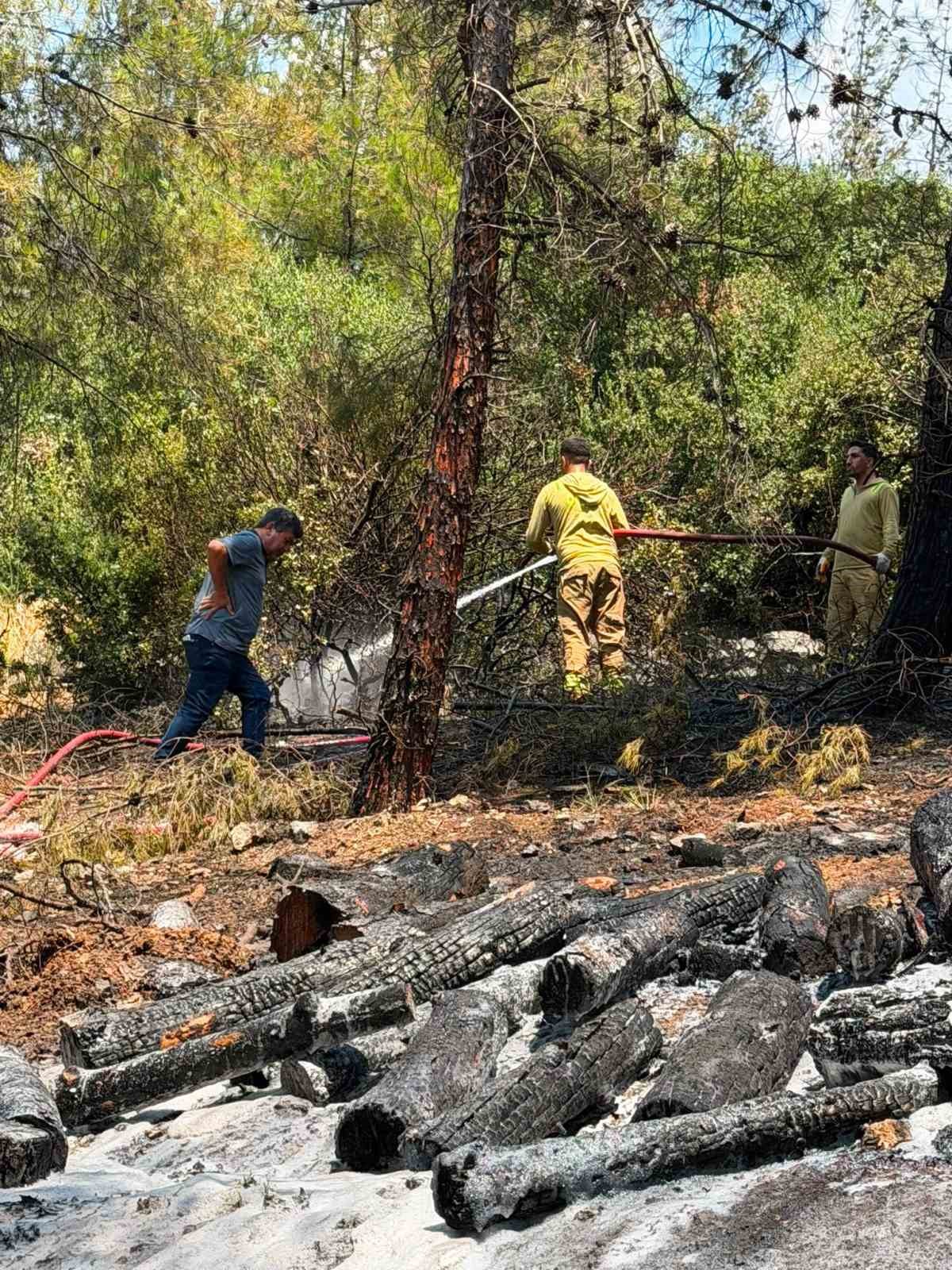 Gaziantep’te orman yangını: Havadan ve karadan müdahaleyle söndürüldü