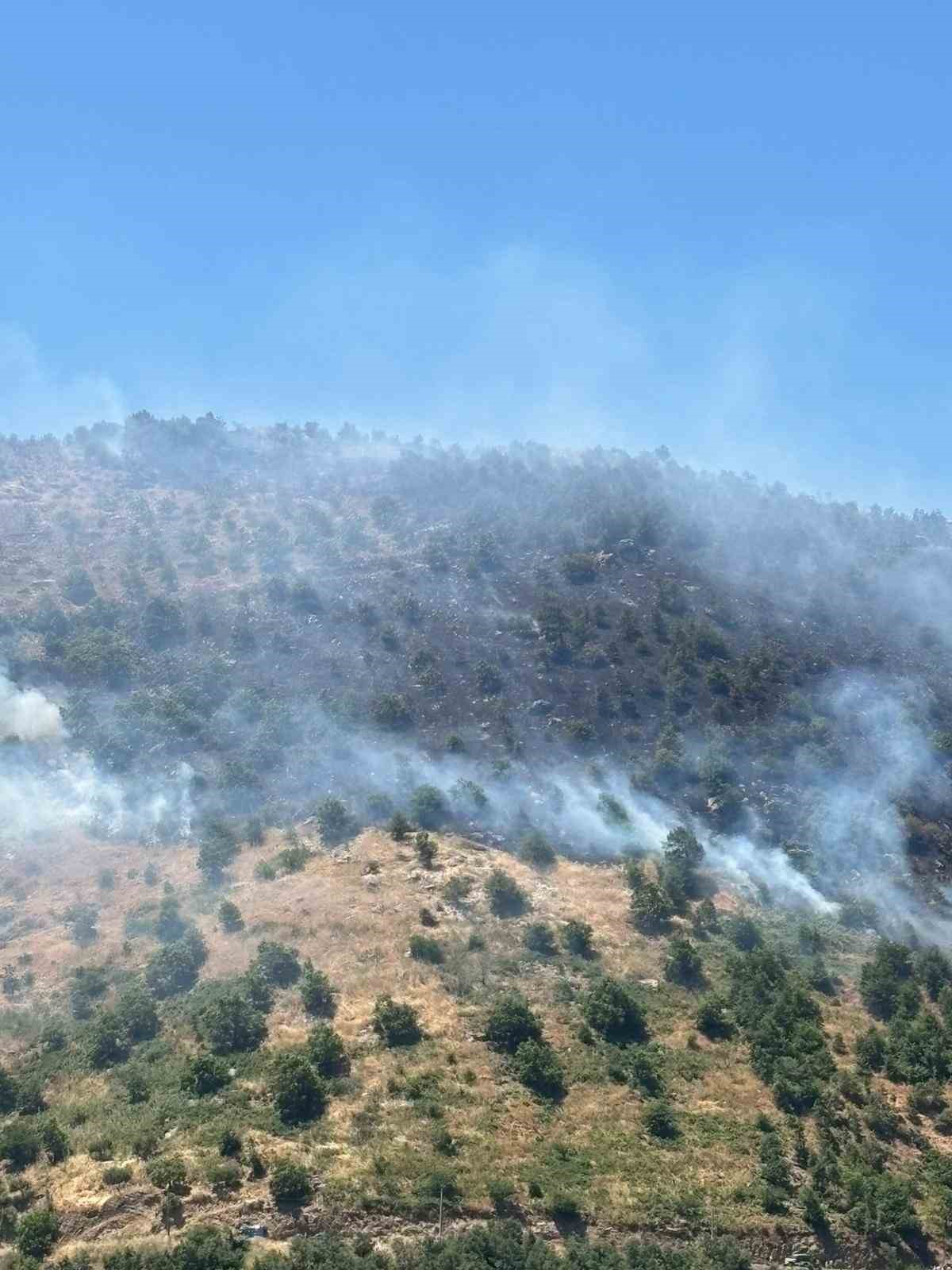 Sultanhisar’daki yangına havadan ve karadan müdahale sürüyor