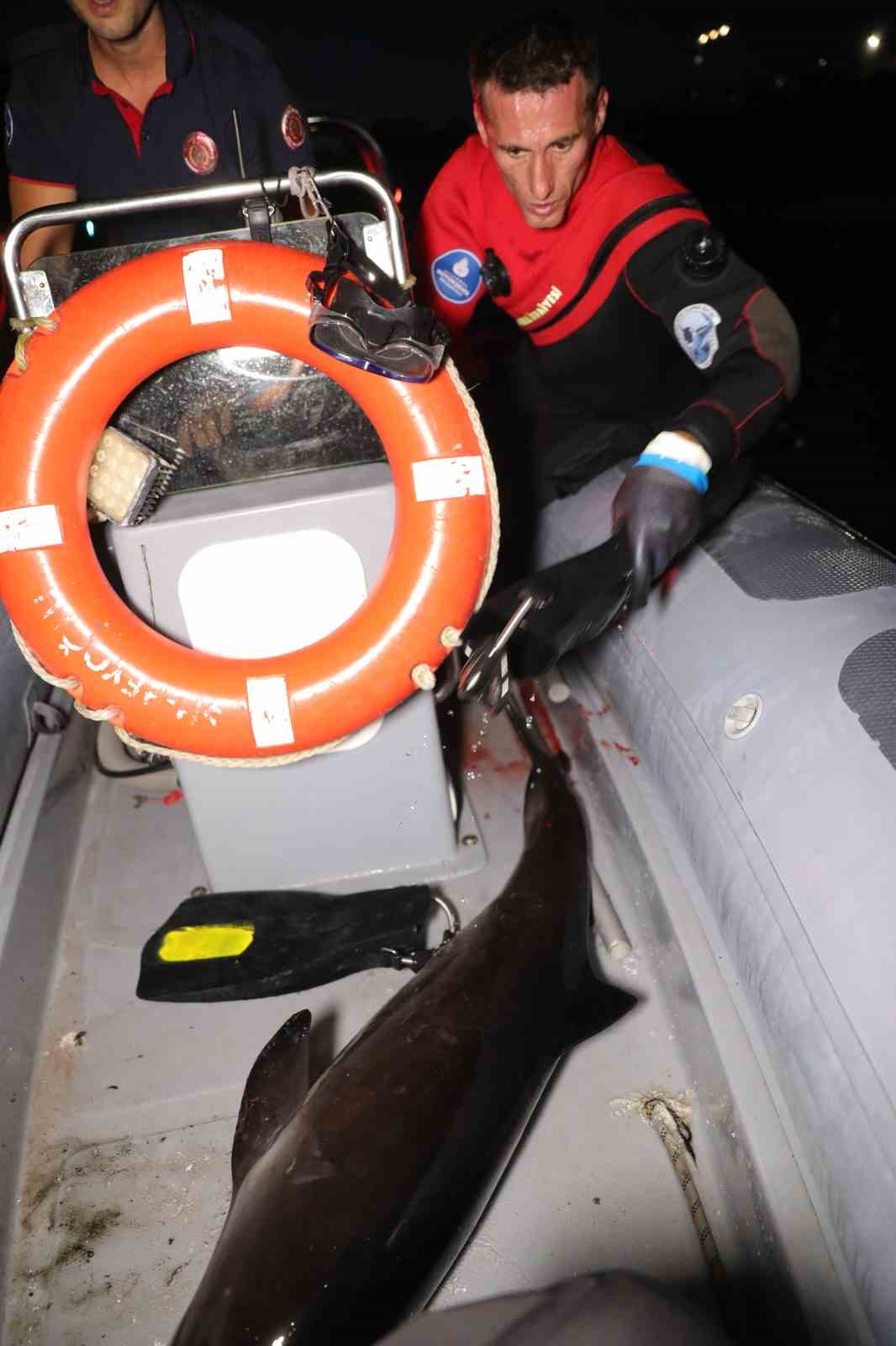 Alibeyk&ouml;y deresine s&uuml;r&uuml;klenen yavru yunusun kurtarıldığı anlara ilişkin yeni g&ouml;r&uuml;nt&uuml;leri ortaya &ccedil;ıktı
