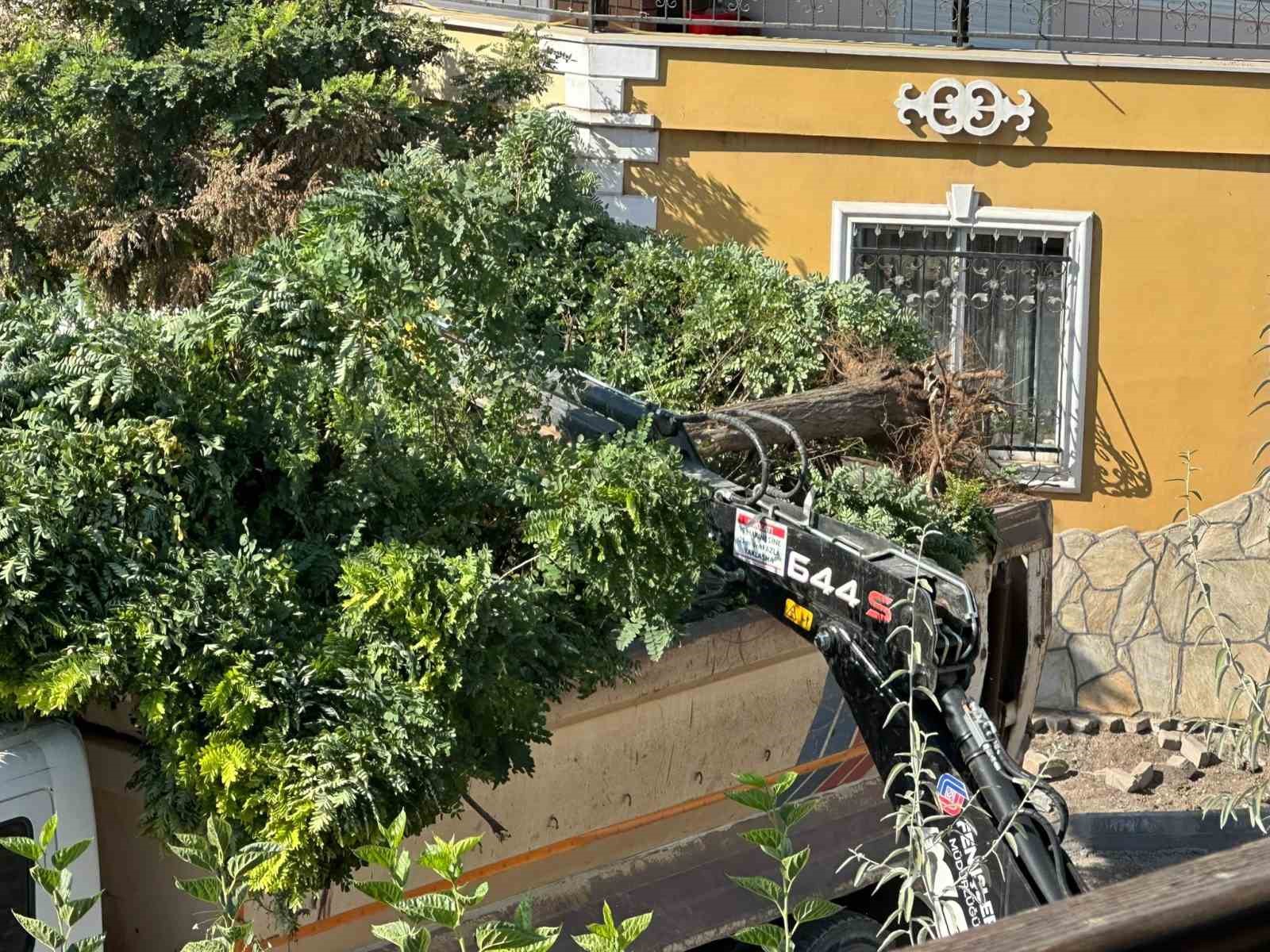 Sındırgı’da yol yapım çalışmaları sırasında ağaçlar söküldü