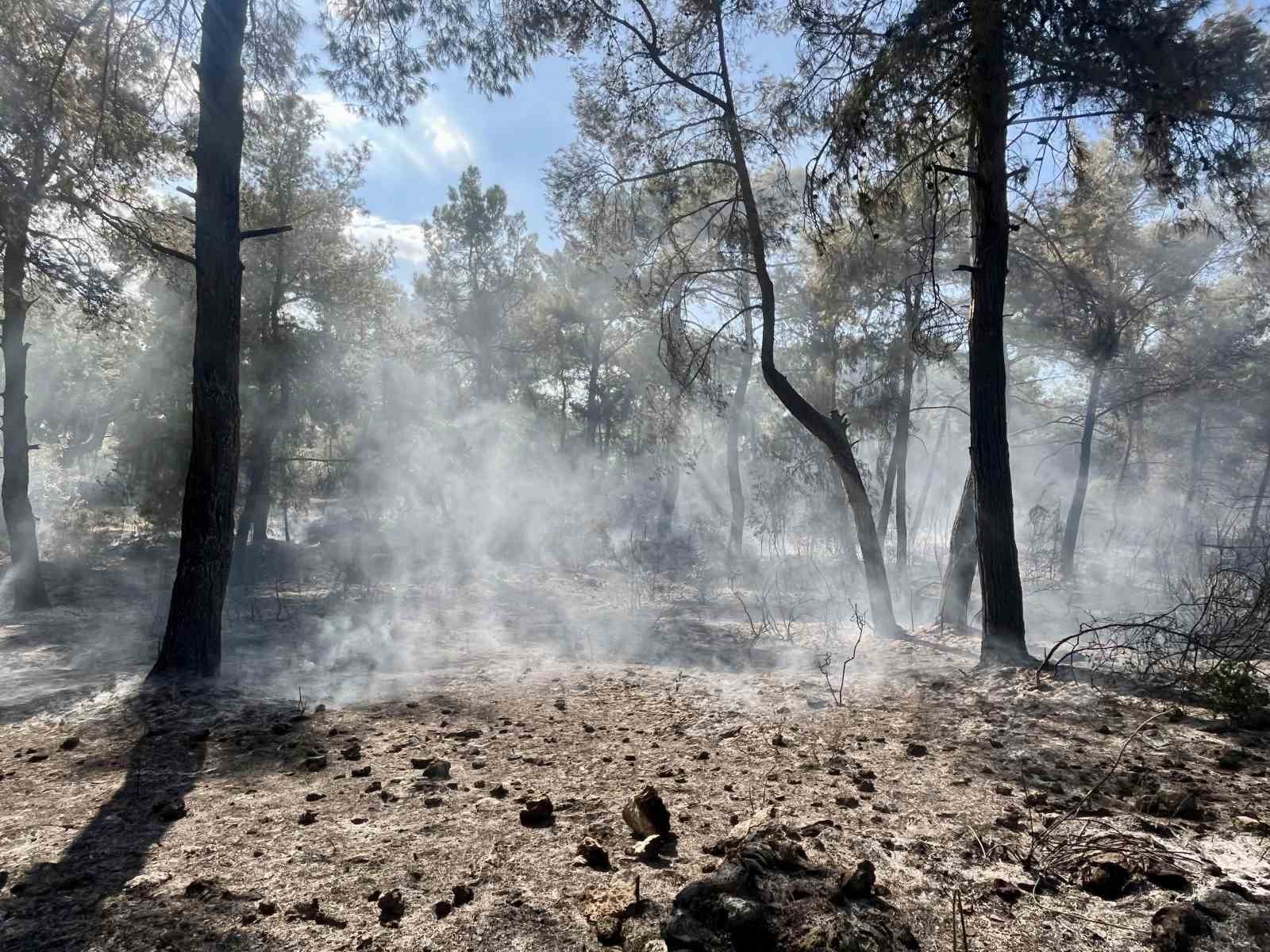 Antalya’da çıkan orman yangın kontrol altına alındı