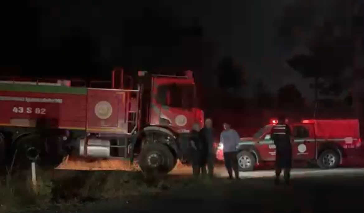 Ekili arazide &ccedil;ıkan yangın ormana sı&ccedil;ramadan s&ouml;nd&uuml;r&uuml;ld&uuml;