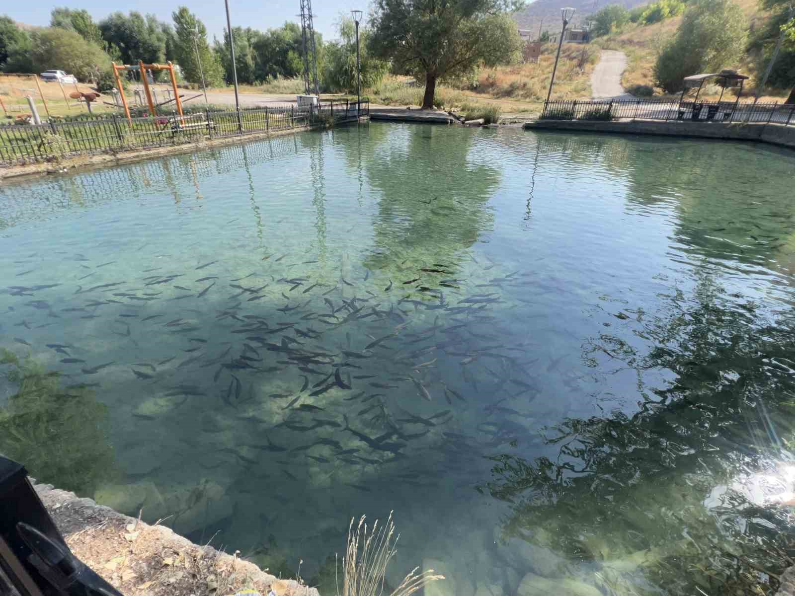Kahramanmaraş’taki Balıklı Göl, berrak suyu ve balıklarıyla ziyaretçilerini ağırlıyor