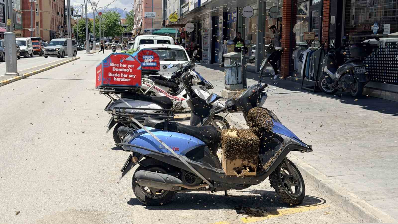 Şehrin g&ouml;beğinde oğul veren arılar ilgi odağı oldu
