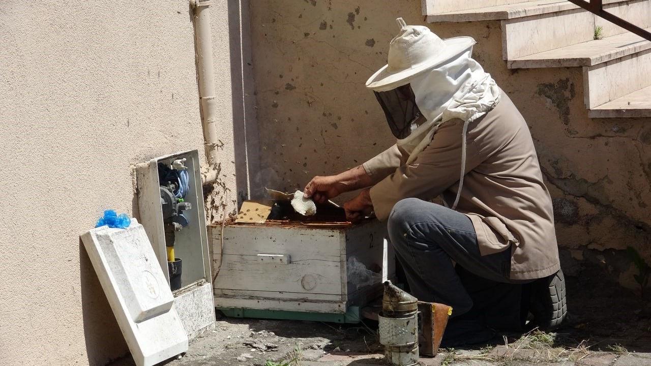 Doğal gaz kutusuna yuva yapan arılar tedirgin etti