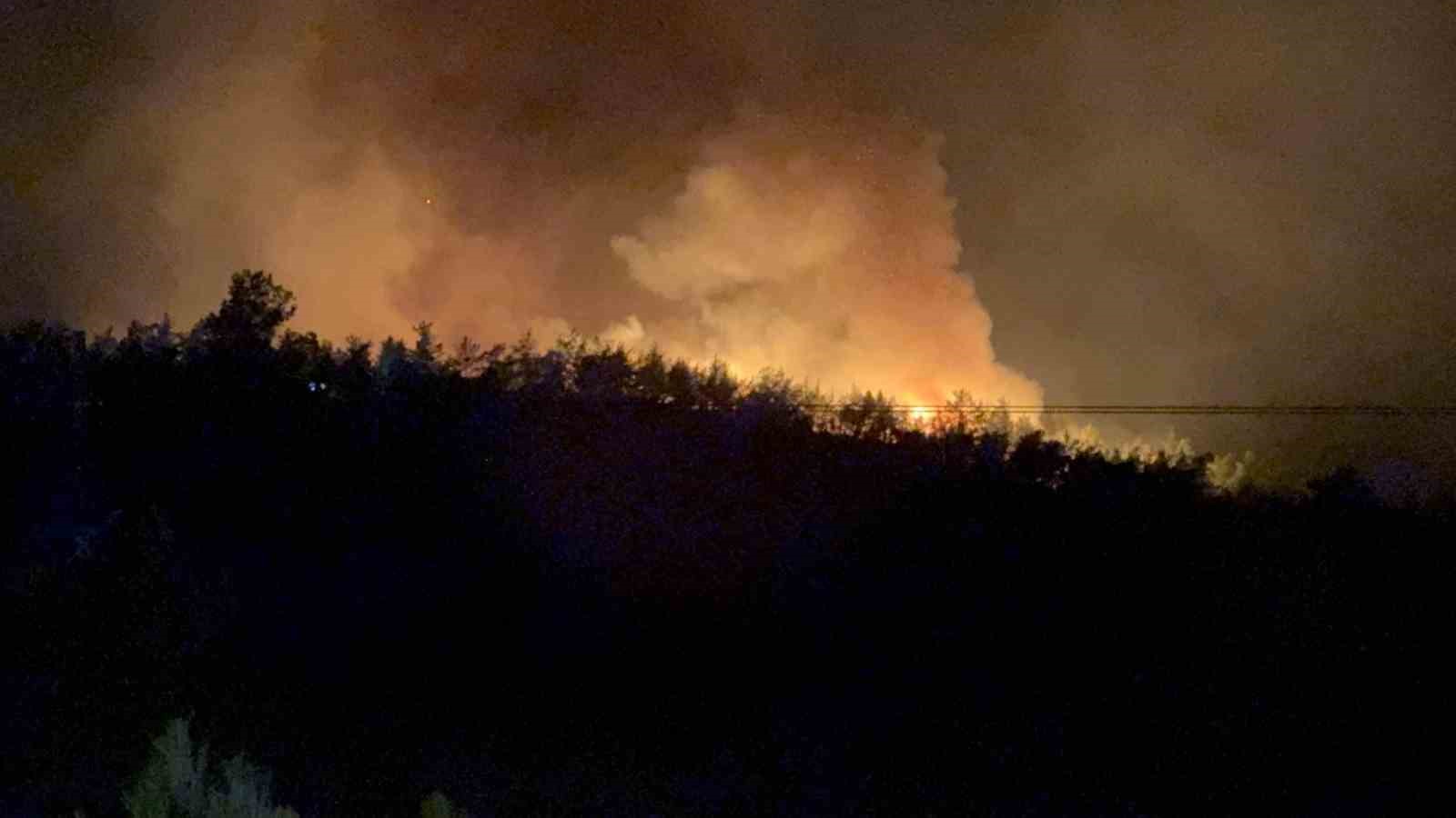 Fethiye’de Yeşilüzümlü Mahallesinde orman yangını başladı