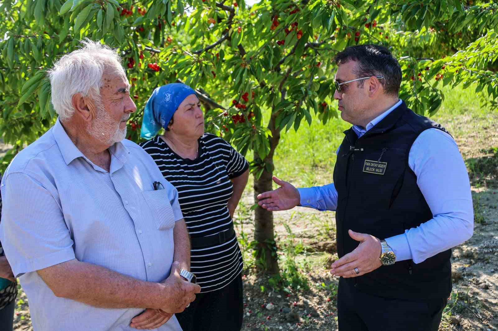 Bilecik’te 27 bin dekarda yıllık yaklaşık 15 bin 500 ton kiraz üretimi