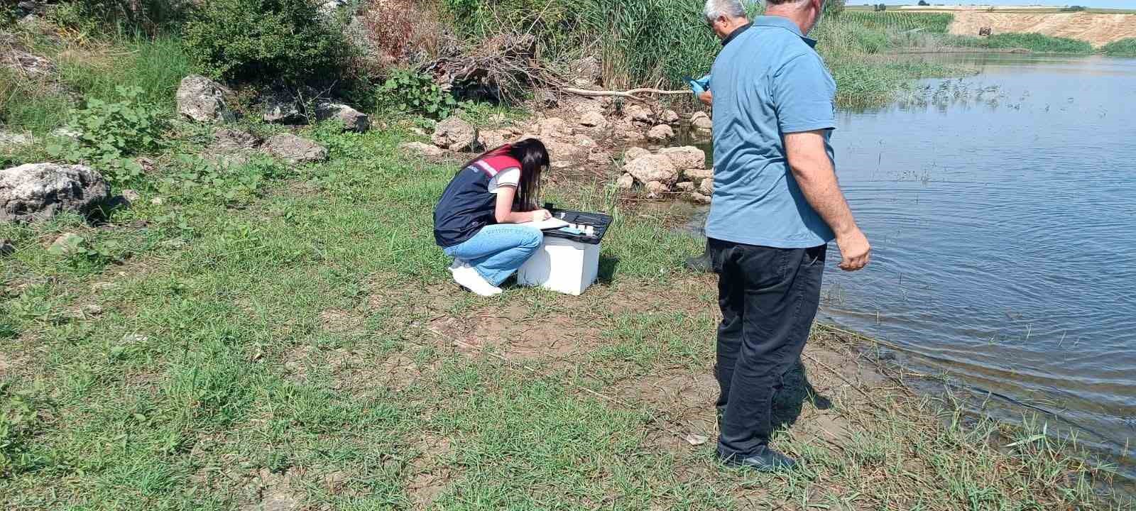 Edirne&rsquo;de toplu balık &ouml;l&uuml;mlerinin yaşandığı g&ouml;letten numune alındı