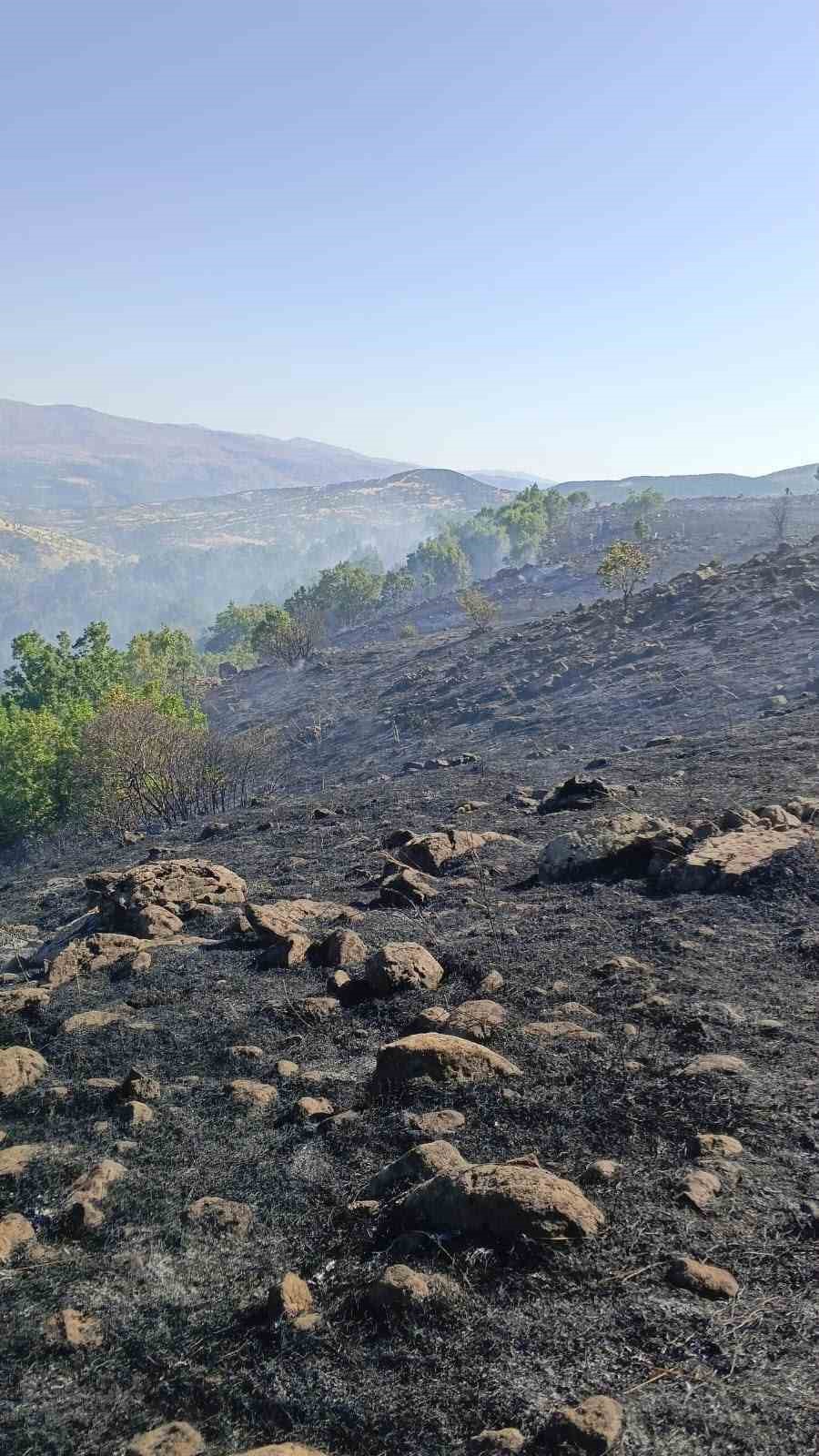 Bingöl’de orman ve mera yangınları söndürüldü