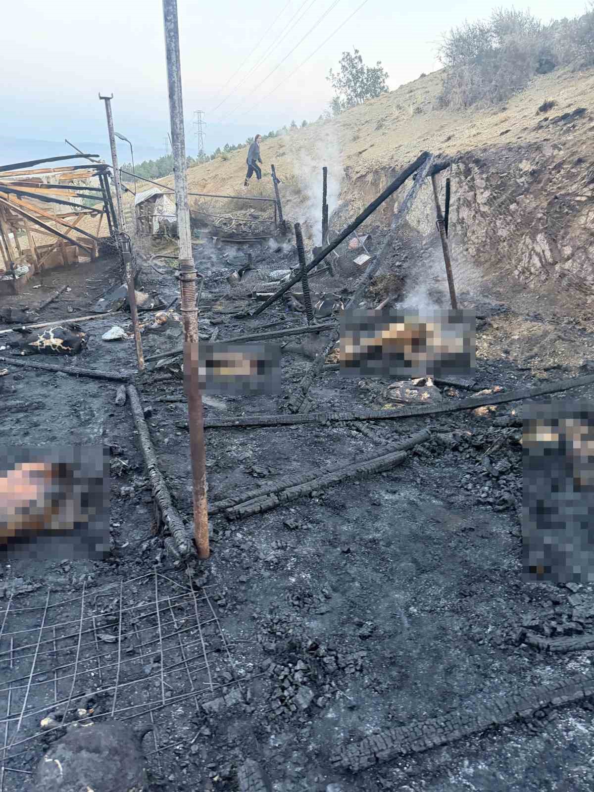 Çorum’da ağıl yangını: Onlarca küçükbaş hayvan telef oldu