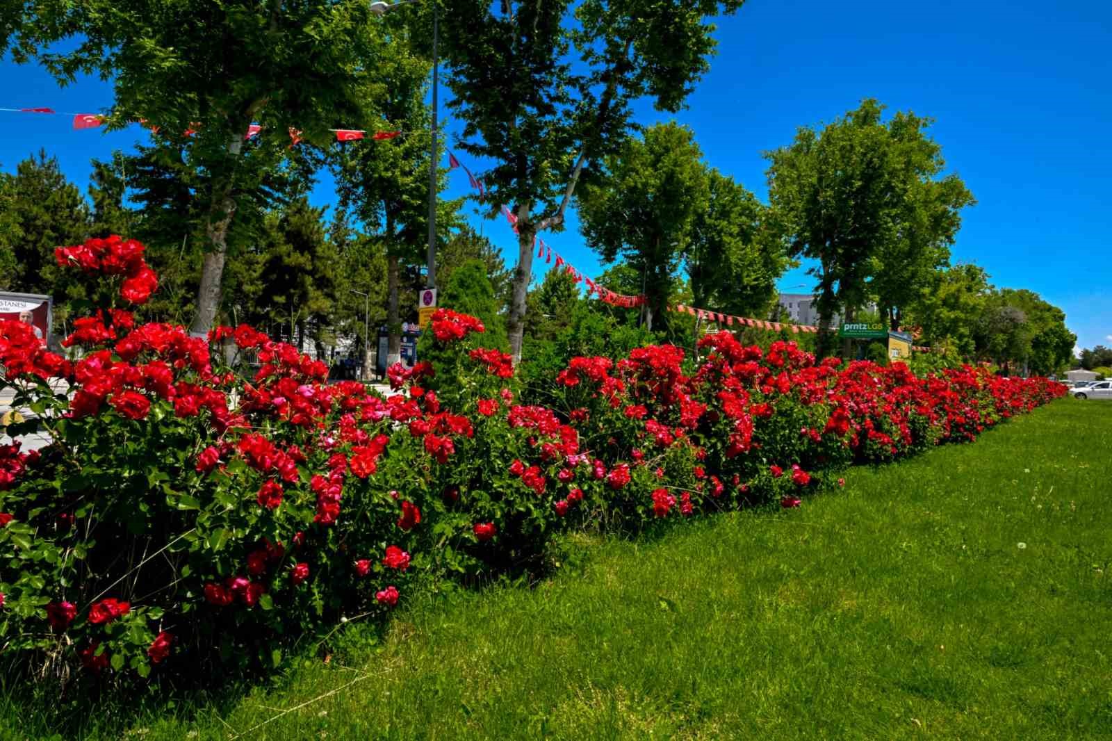 Malatya’da park ve kavşaklar çiçeklerle süslendi