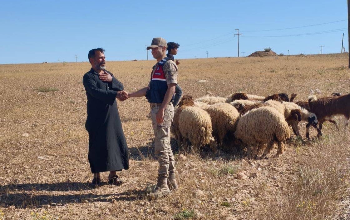 Kaybolan k&uuml;&ccedil;&uuml;kbaş hayvanları jandarma buldu