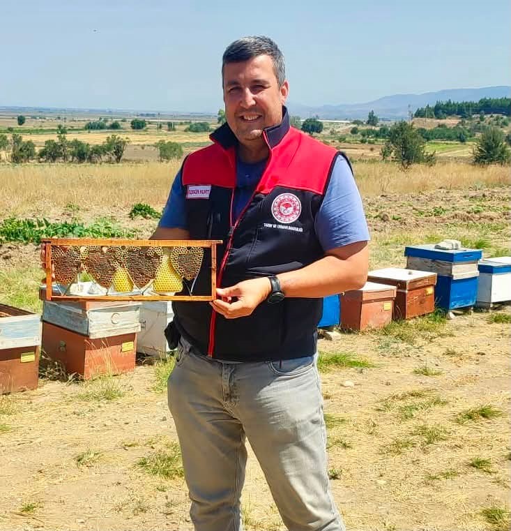 Kovan denetiminde bulunan kalp şeklindeki petek görenleri şaşırttı