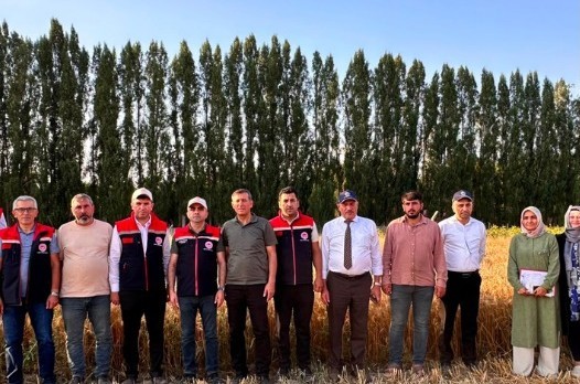 Yerli tohum &rsquo;Parla&rsquo; Erzurum&rsquo;un &ccedil;etin kışına meydan okuyor