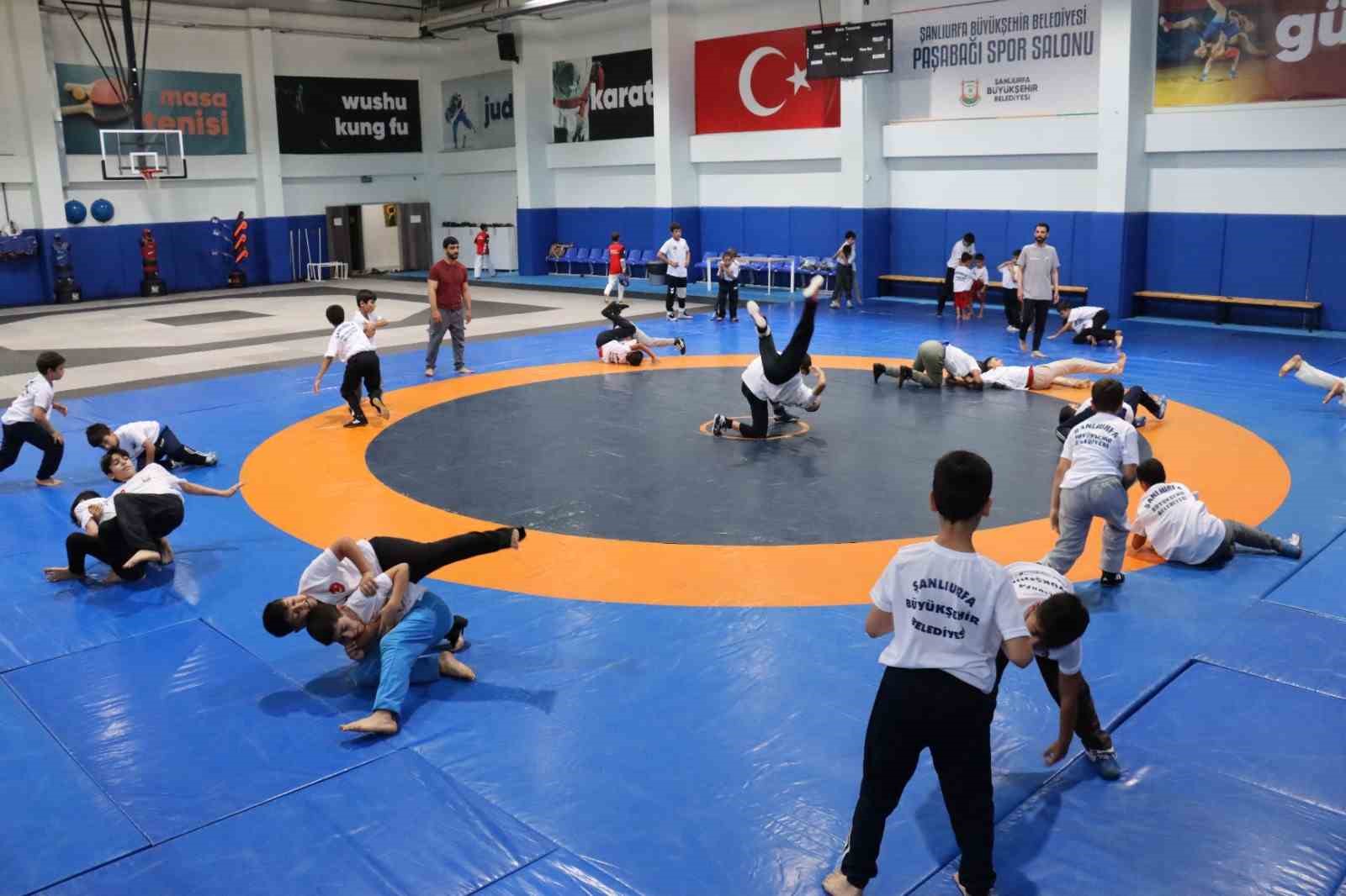 Şanlıurfa’da ata sporu güreşe yoğun ilgi